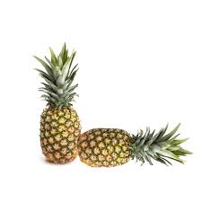 Pineapple -01252
