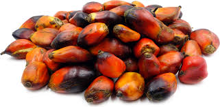 Palm Nuts -01265