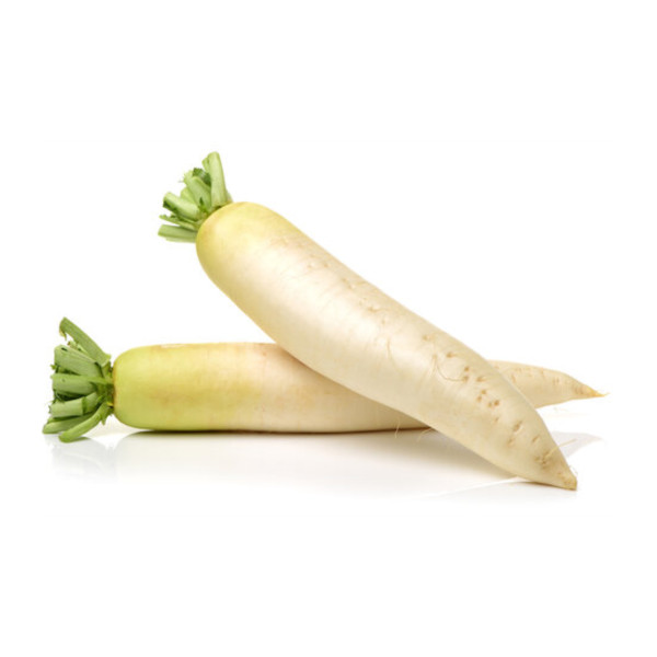 Radish-01266