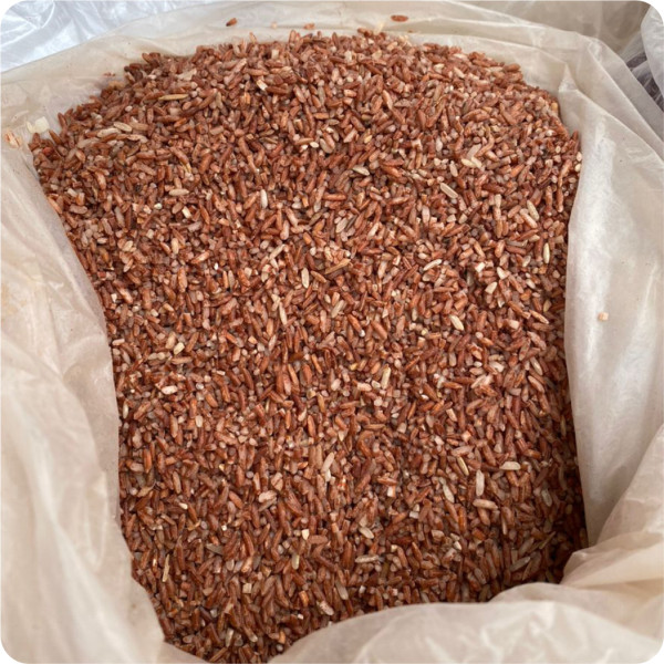 Brown Rice-01442