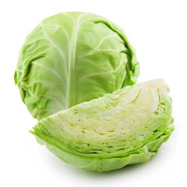 Cabbage (1-01656