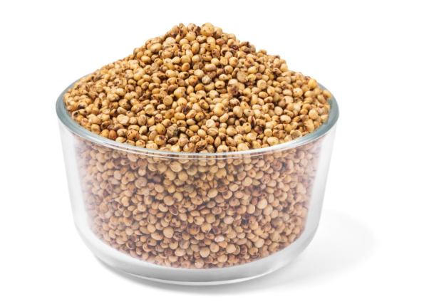 Sorghum Se-01269
