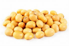 Soya Beans-01277
