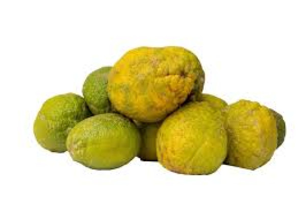 Local Lemon