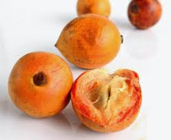 African Star Apple (Alansa)