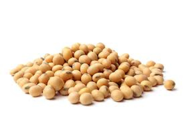 Soya Beans (Cup)
